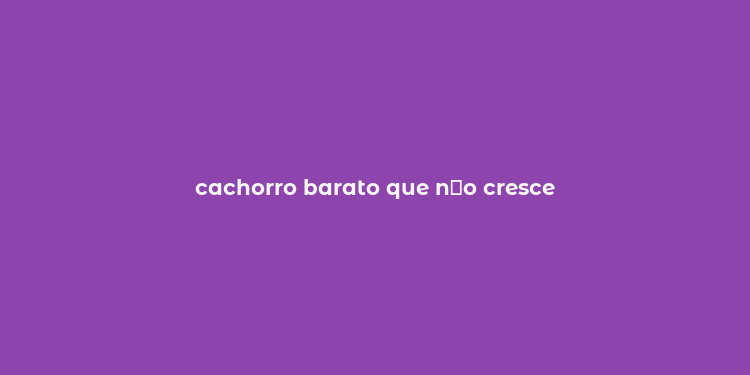 cachorro barato que n？o cresce