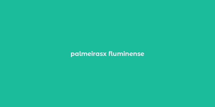 palmeirasx fluminense