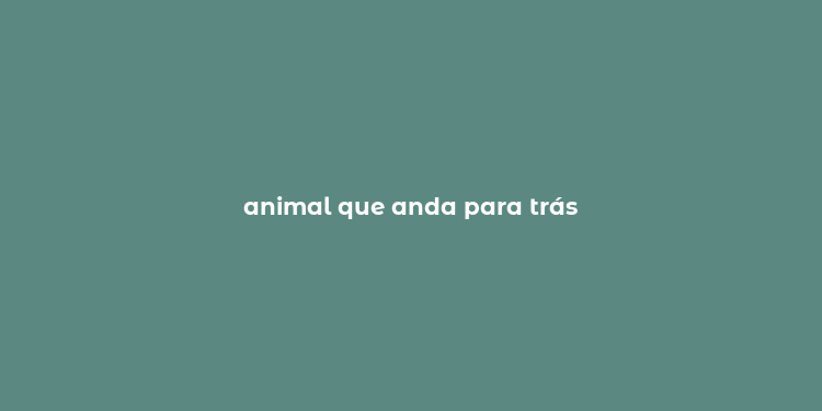 animal que anda para trás