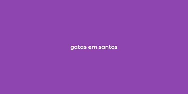 gatas em santos