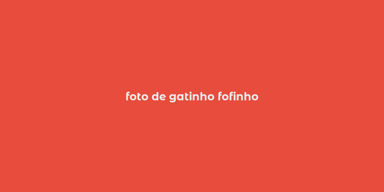 foto de gatinho fofinho