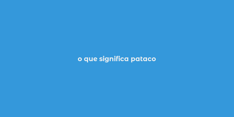 o que significa pataco