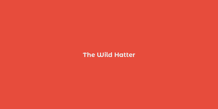 The Wild Hatter