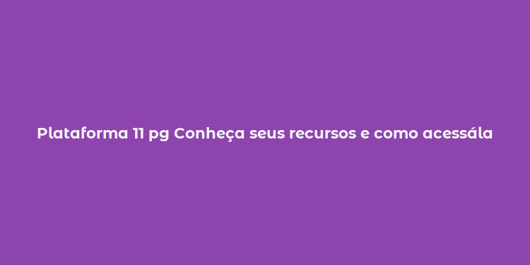 Plataforma 11 pg Conheça seus recursos e como acessála