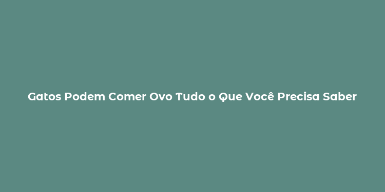 Gatos Podem Comer Ovo Tudo o Que Você Precisa Saber