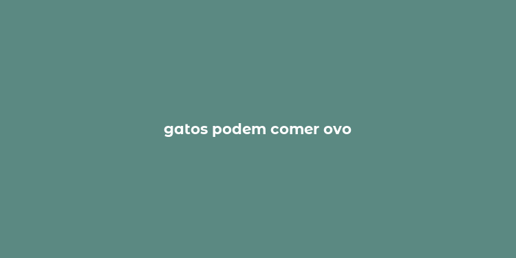 gatos podem comer ovo