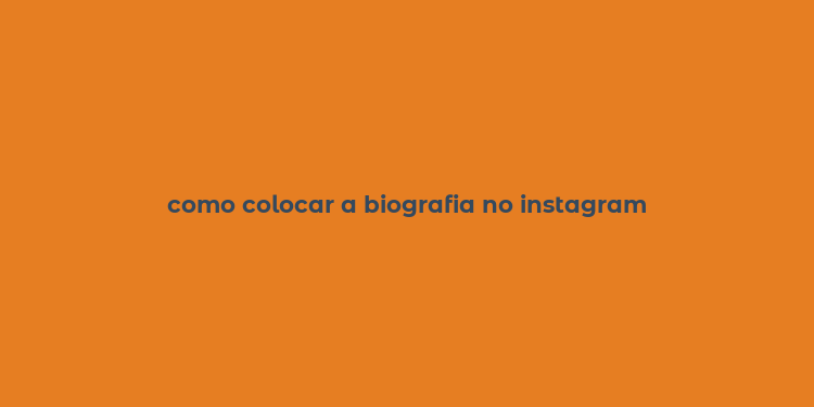 como colocar a biografia no instagram