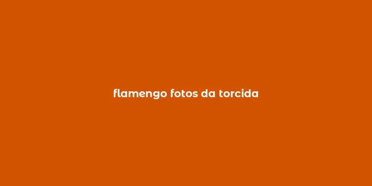 flamengo fotos da torcida