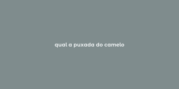 qual a puxada do camelo