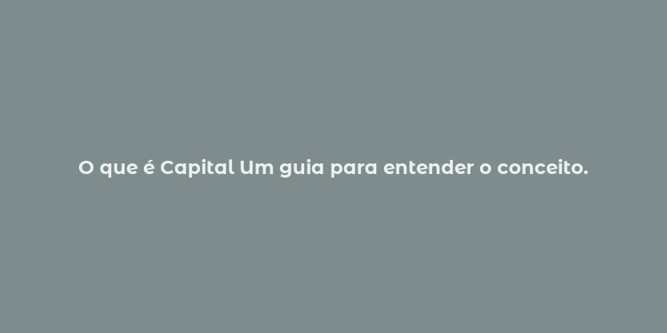 O que é Capital Um guia para entender o conceito.