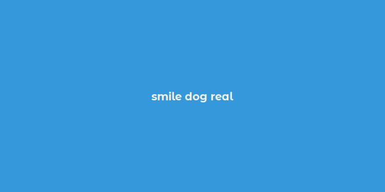 smile dog real