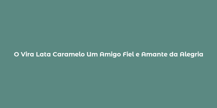 O Vira Lata Caramelo Um Amigo Fiel e Amante da Alegria