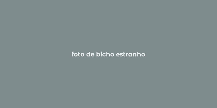 foto de bicho estranho