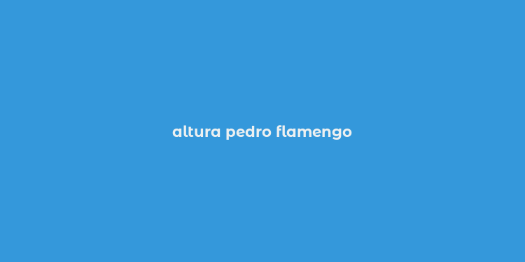 altura pedro flamengo