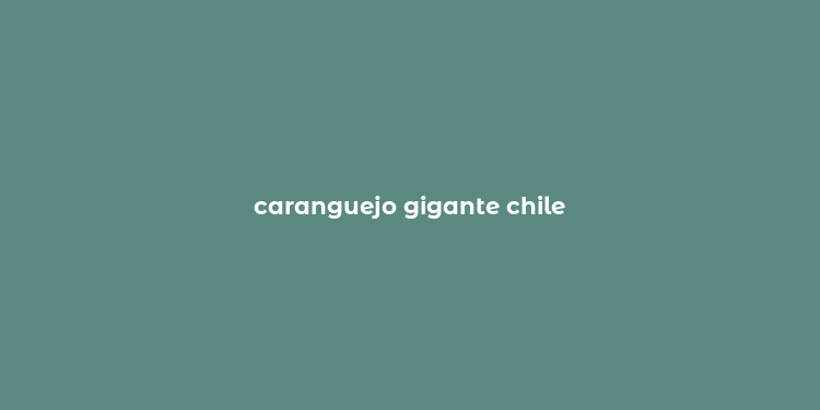 caranguejo gigante chile