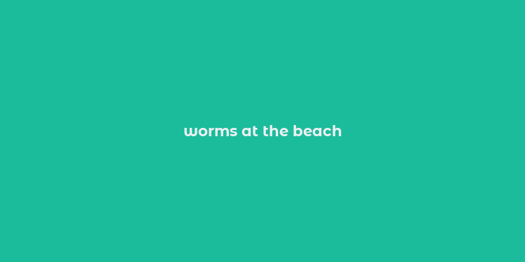 worms at the beach