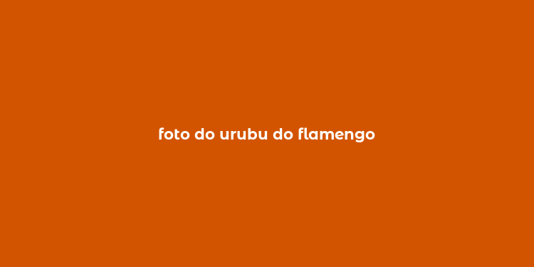 foto do urubu do flamengo