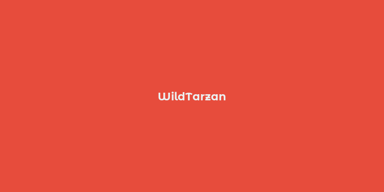 WildTarzan