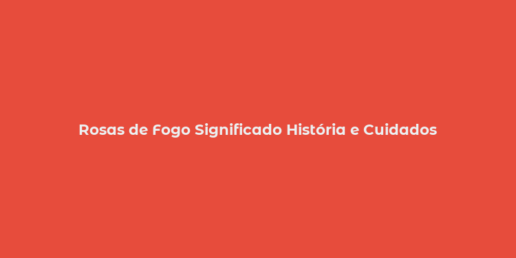 Rosas de Fogo Significado História e Cuidados