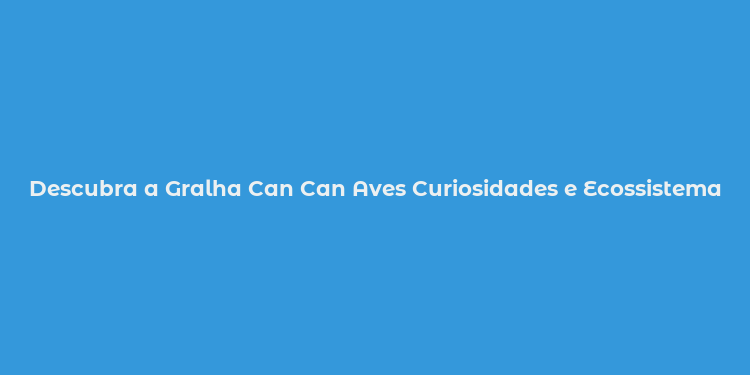 Descubra a Gralha Can Can Aves Curiosidades e Ecossistema