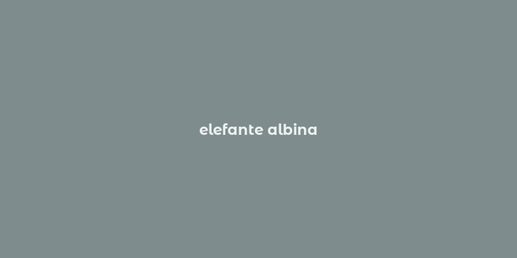 elefante albina