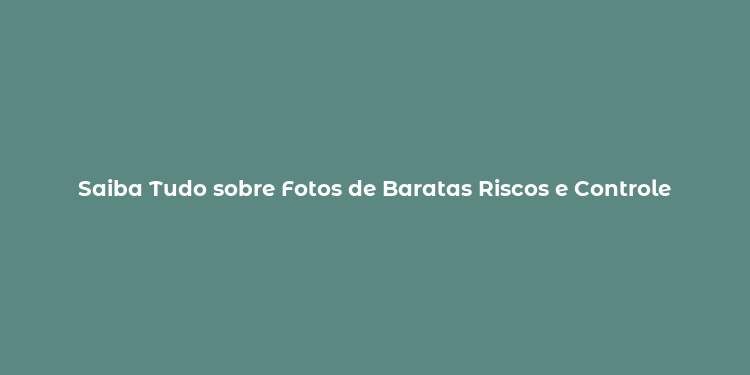 Saiba Tudo sobre Fotos de Baratas Riscos e Controle