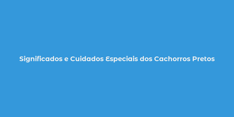 Significados e Cuidados Especiais dos Cachorros Pretos