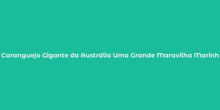 Caranguejo Gigante da Austrália Uma Grande Maravilha Marinha