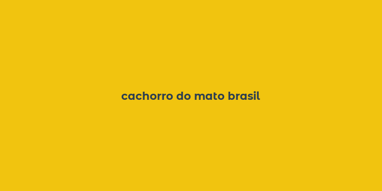 cachorro do mato brasil