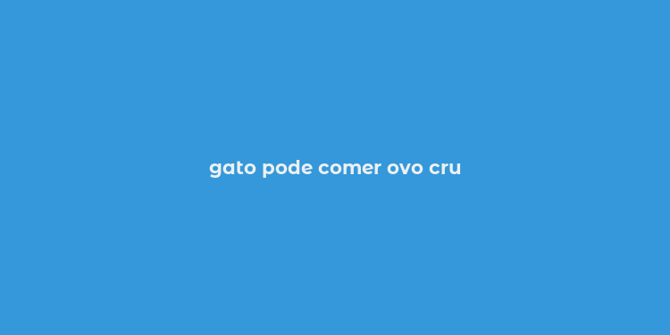 gato pode comer ovo cru