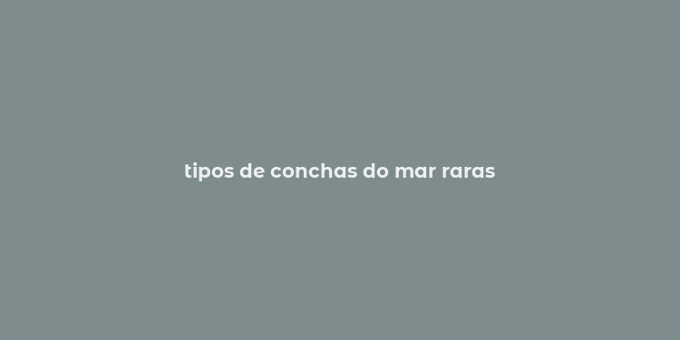 tipos de conchas do mar raras