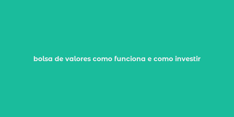 bolsa de valores como funciona e como investir