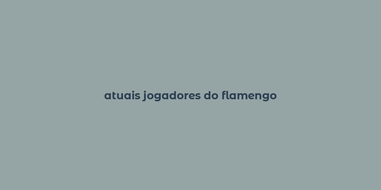 atuais jogadores do flamengo