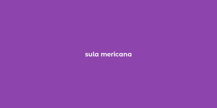 sula mericana