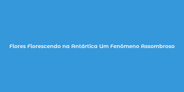 Flores Florescendo na Antártica Um Fenômeno Assombroso