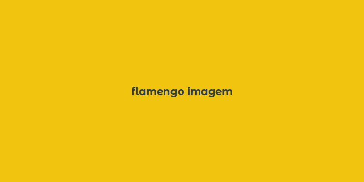 flamengo imagem