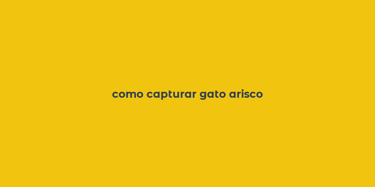 como capturar gato arisco