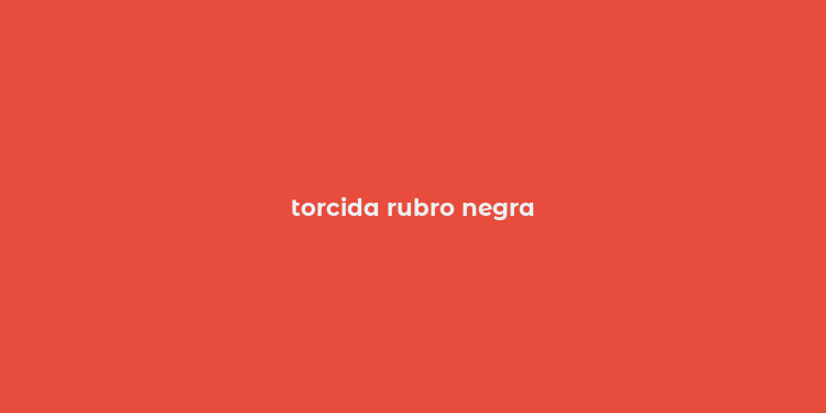 torcida rubro negra