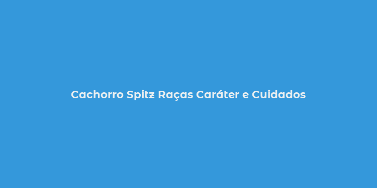 Cachorro Spitz Raças Caráter e Cuidados