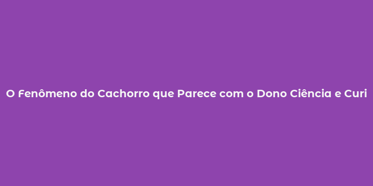 O Fenômeno do Cachorro que Parece com o Dono Ciência e Curiosidades