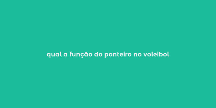 qual a função do ponteiro no voleibol