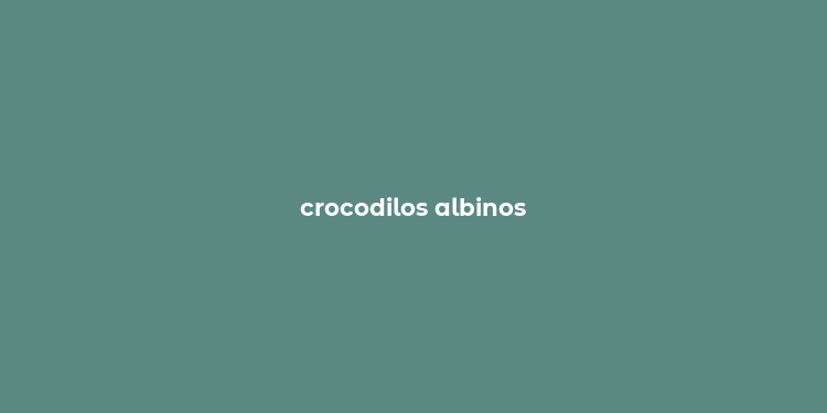 crocodilos albinos