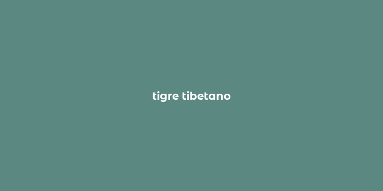 tigre tibetano