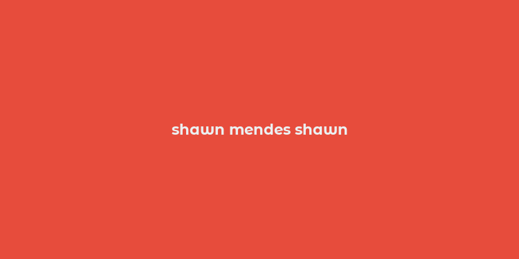 shawn mendes shawn