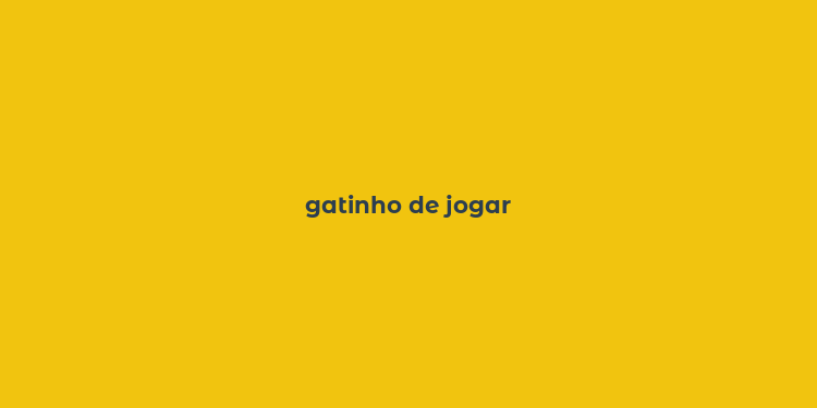 gatinho de jogar