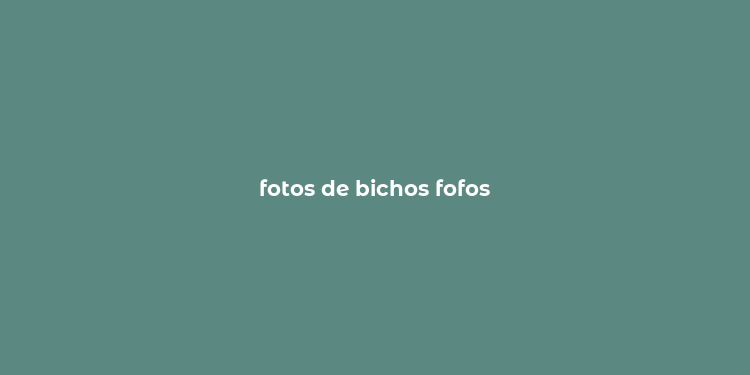 fotos de bichos fofos