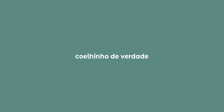 coelhinho de verdade