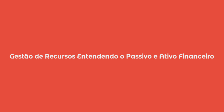 Gestão de Recursos Entendendo o Passivo e Ativo Financeiro