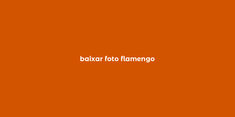 baixar foto flamengo