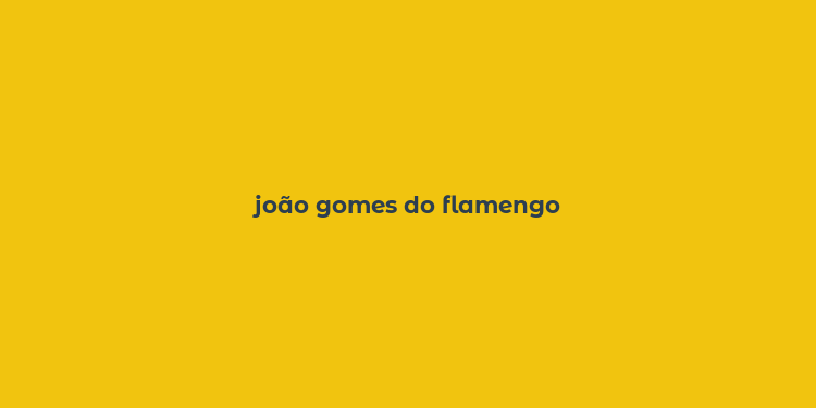 joão gomes do flamengo